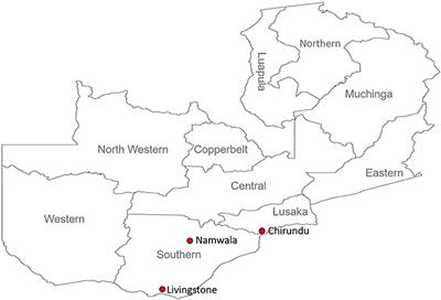 Molecular Detection and Characterization of Rickettsia Species in Ixodid Ticks Collected From Cattle in Southern Zambia